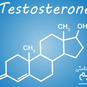بهترین تقویت کننده‌های طبیعی تستوسترون